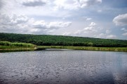 Река Оскол - Краснооскольское вдхр. в июне 2010