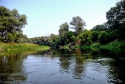 Река Северский Донец в августе 2010 Левковка - Изюм