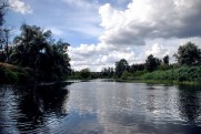 Река Северский Донец в августе 2010 Левковка - Изюм
