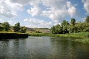 Річка Оскіл в червні 2011 Тополі - Куп'янськ