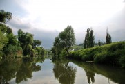 The Oskol River in June 2011 Topoli - Kupyansk