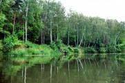 Река Псел в июле 2008 Сумы - Гадяч