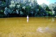 Річка Псел в липні 2008 Суми - Гадяч